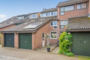 Nesciohove 47 in 